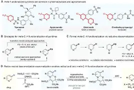 关于眀p^2?B?于紐彷X胺湝/嬔鯌????榛!?6的信息